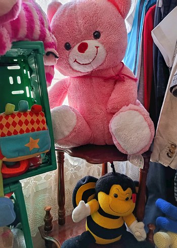 oyuncaklar için fiyat sorunuz - Görsel 6