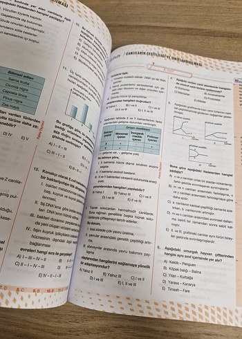 Beden TYT Biyoloji Soru Kitabı Palme Yayınevi