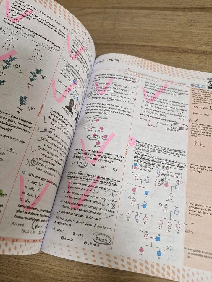 TYT Biyoloji Soru Kitabı Palme Yayınevi - Görsel 2