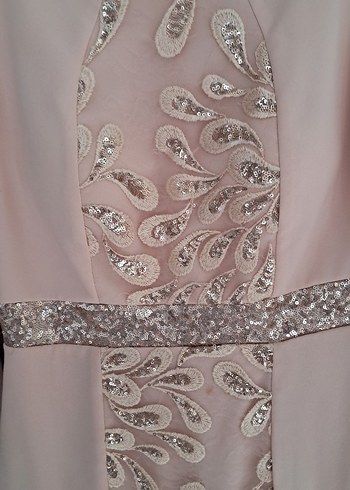 Pembe İşlemeli Uzun Abiye Elbise - Görsel 5