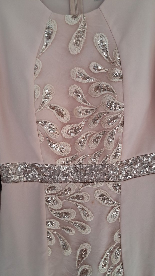 Pembe İşlemeli Uzun Abiye Elbise - Görsel 5