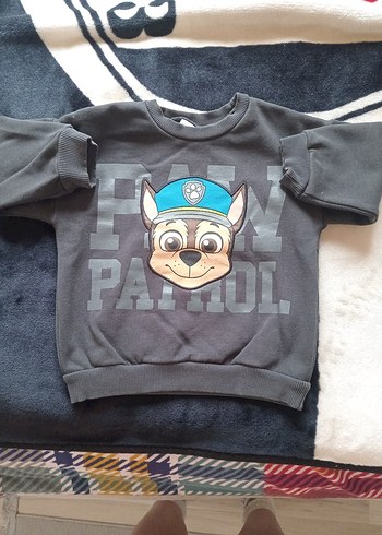 Paw patrol takım - Görsel 2