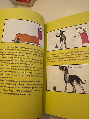 Bir Buçuk Abartı (Allie Brosh) - Görsel 8