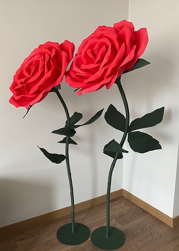 Dev gül - Görsel 2