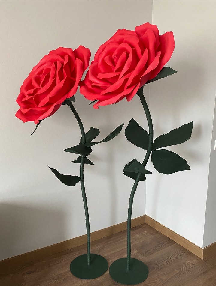 Dev gül - Görsel 2