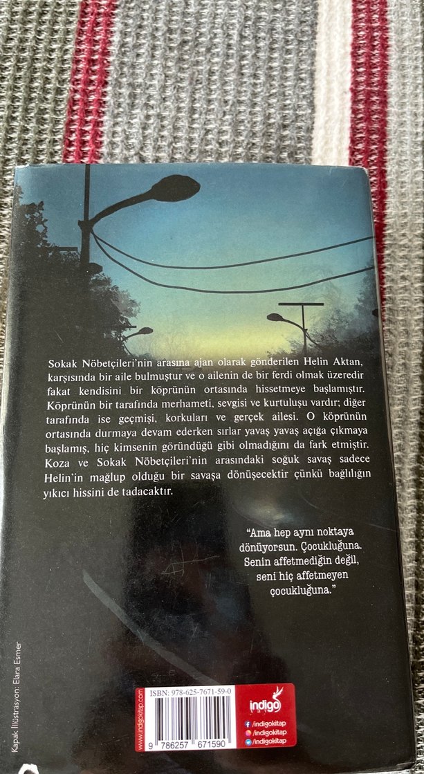 Sokak Nöbetçileri II - Aslı Arslan - Görsel 2