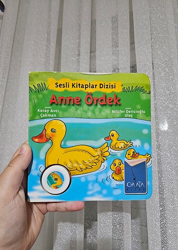 Beden Renk Çocuklar İçin Hareketli ve Eğitici Kitaplar