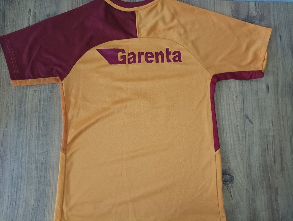 Galatasaray Erkek Kısa Kollu Forma - Görsel 2