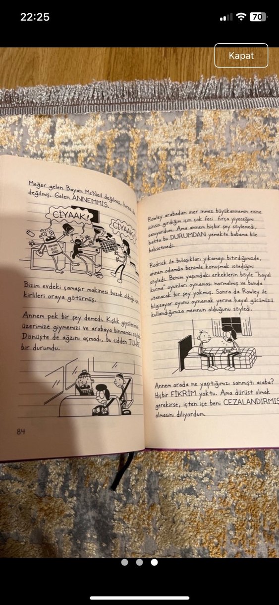 Saftirik Greg'in Günlüğü: Eridik Bittik Çok iyi durumda - Görsel 3