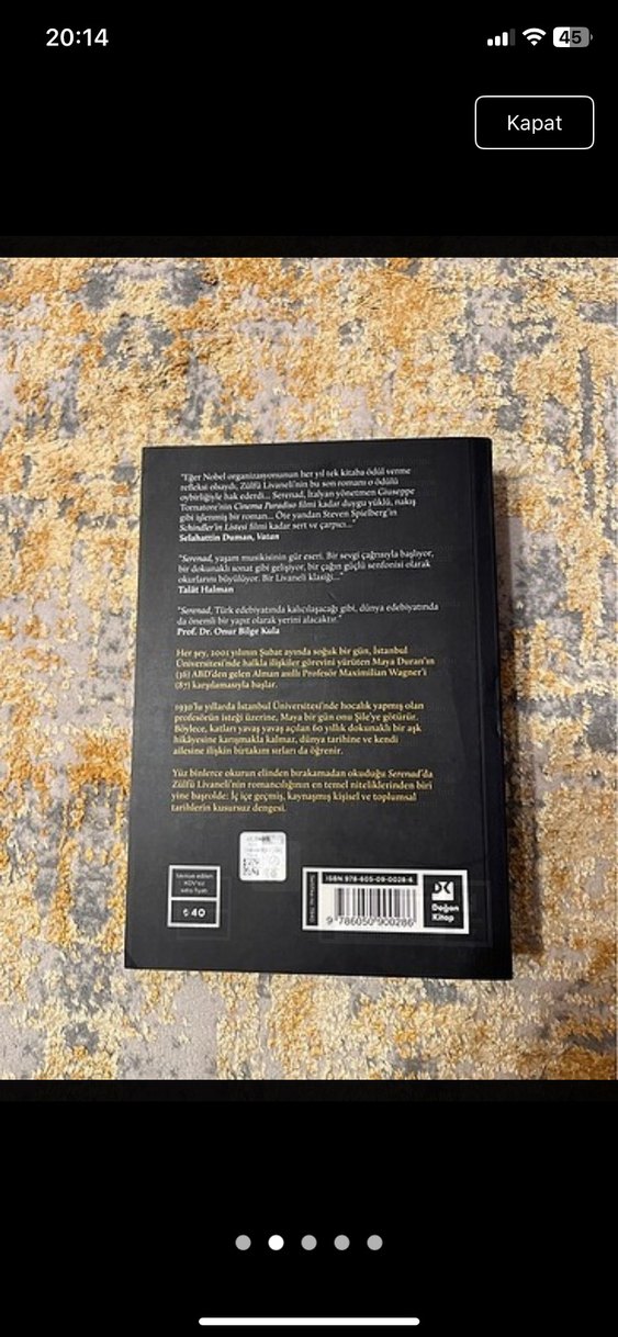 Livaneli - Serenad Romanı - Görsel 2