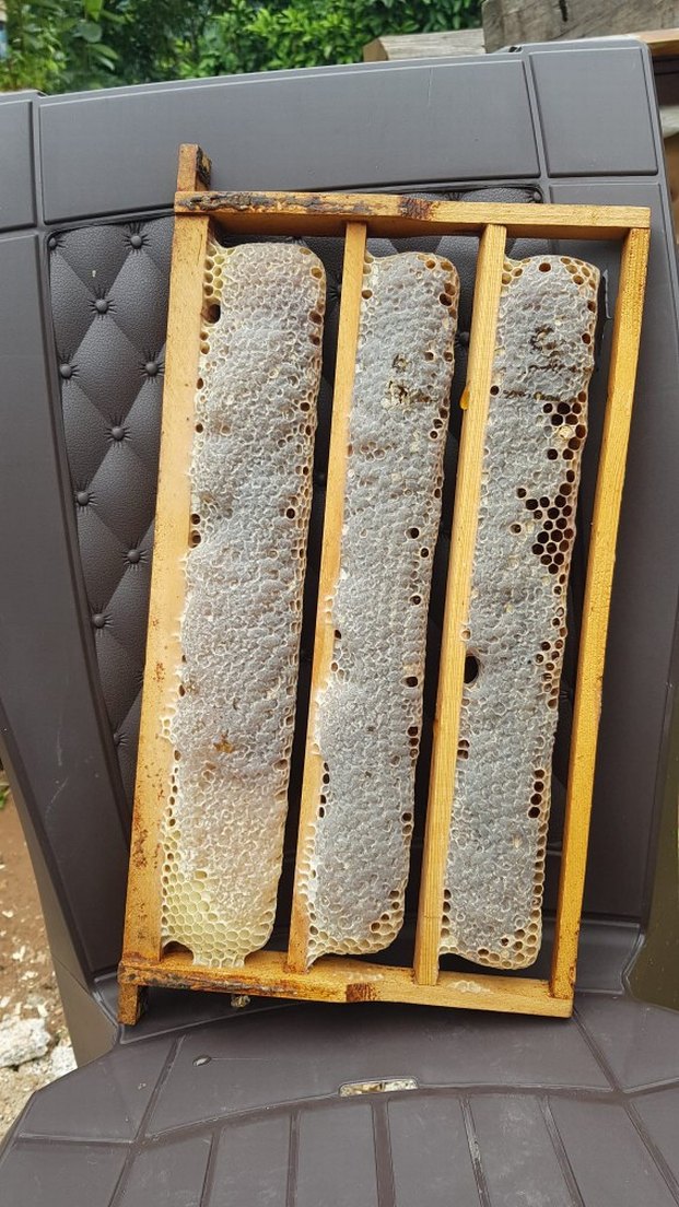 Ahşap Çerçeveli Doğal Bal Peteği Sepeti - Görsel 2