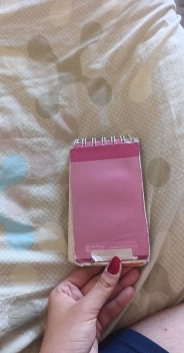 Klinik Cep Kitabı - Aysel Badır - Görsel 2