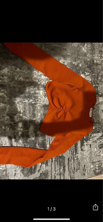 zara crop