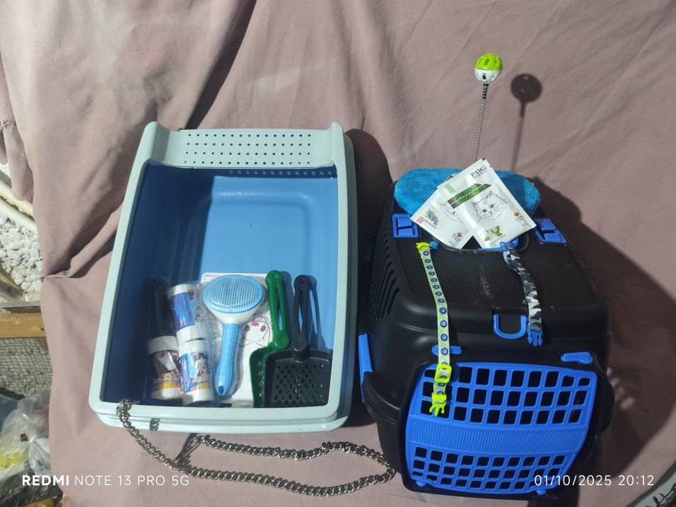 Mavi Taşıma Kabı ve Gri Kedi Tuvalet Kabı Seti - Görsel 2