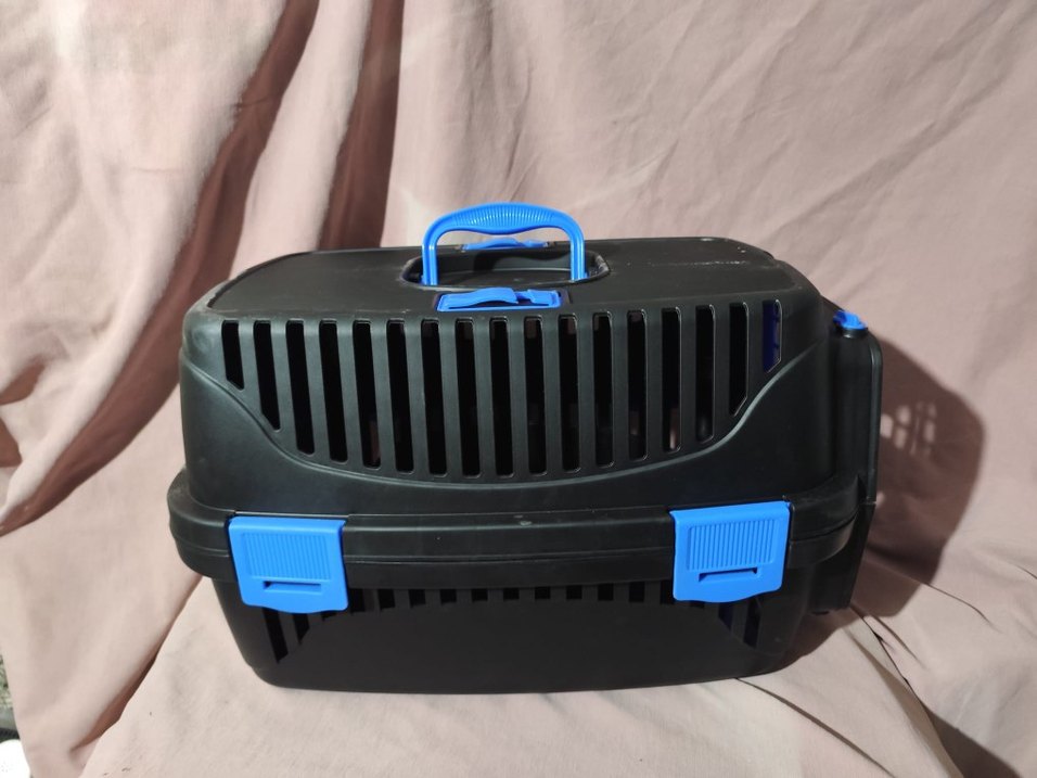 Renkli Mavi Taşıma Kabı - Görsel 3