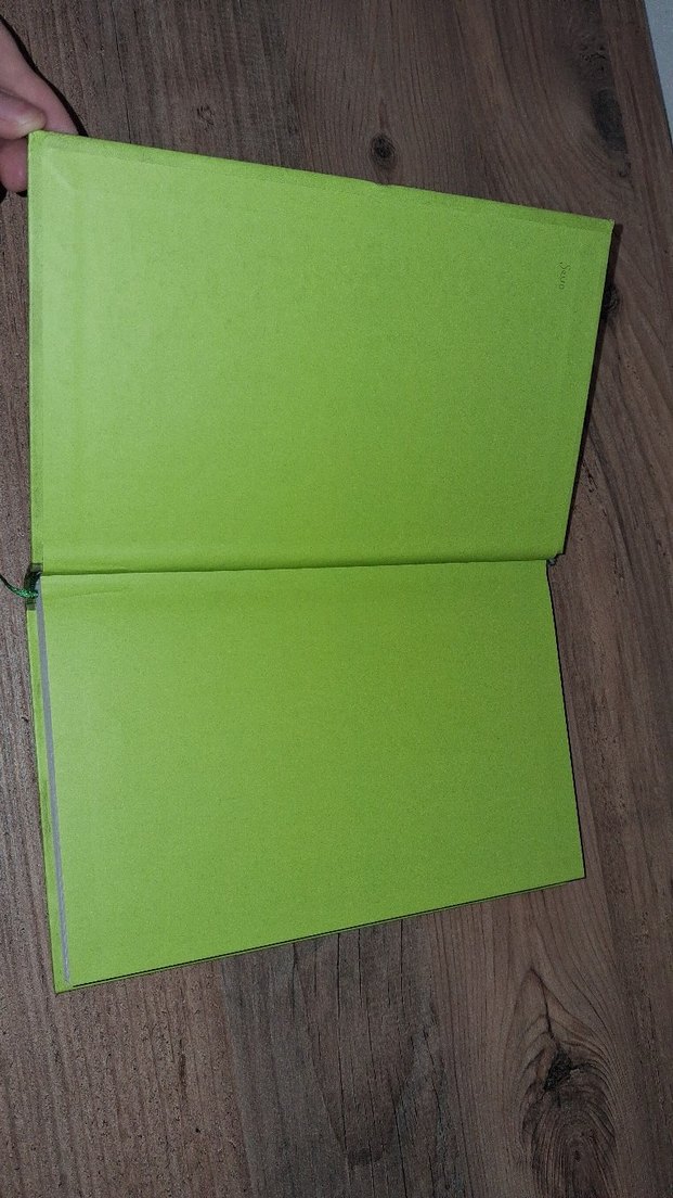 Saftirik Greg'in Günlüğü: Batsın Bu Dünya! - Görsel 4