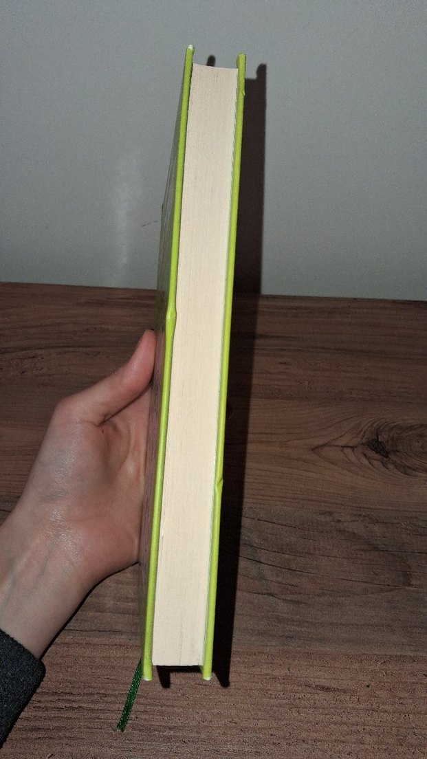 Saftirik Greg'in Günlüğü: Batsın Bu Dünya! - Görsel 5