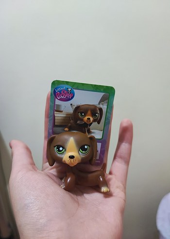 Kahverengi Littlest Pet Shop Köpek Figürü LPS miniş sosis köpek