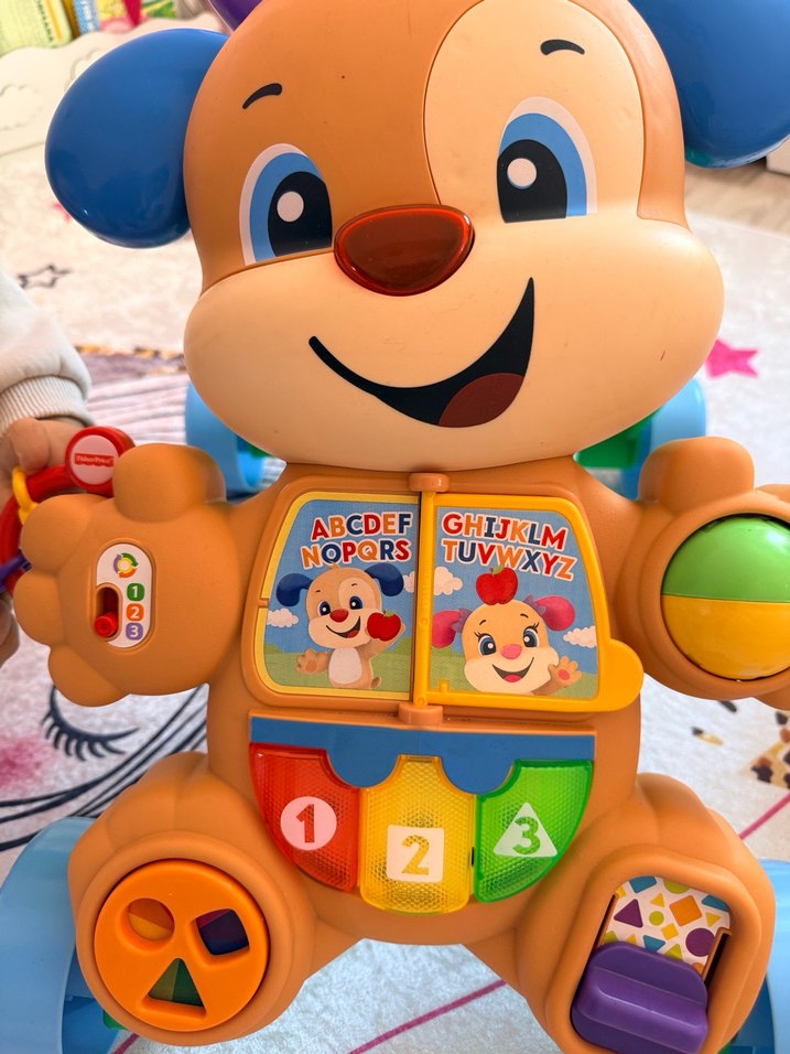 Renkli Eğitici Yürüyüş Arkadaşı Oyuncak - Görsel 3