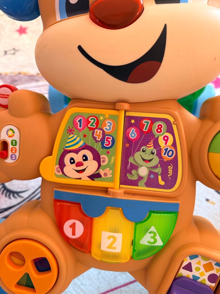 Renkli Eğitici Yürüyüş Arkadaşı Oyuncak - Görsel 4