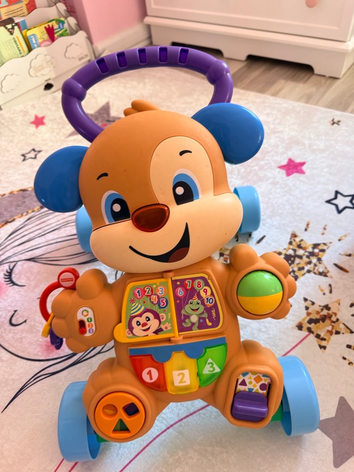 Renkli Eğitici Yürüyüş Arkadaşı Oyuncak - Görsel 2