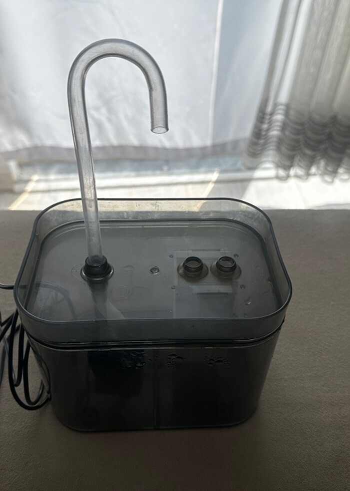 Kedi Su pınarı - Görsel 2