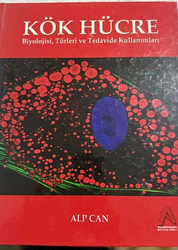 Kök hücre biyolojisi türleri ve tedavide kullanımları - Görsel 4