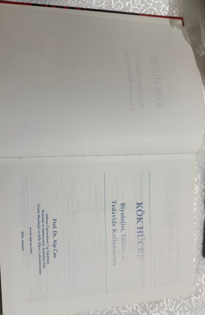 Kök hücre biyolojisi türleri ve tedavide kullanımları - Görsel 3