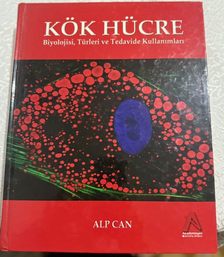 Kök hücre biyolojisi türleri ve tedavide kullanımları - Görsel 4