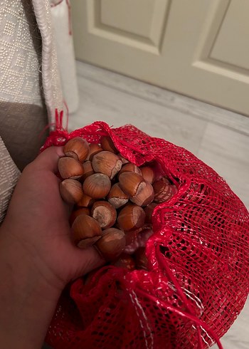 diğer Beden Kabuklu fındık