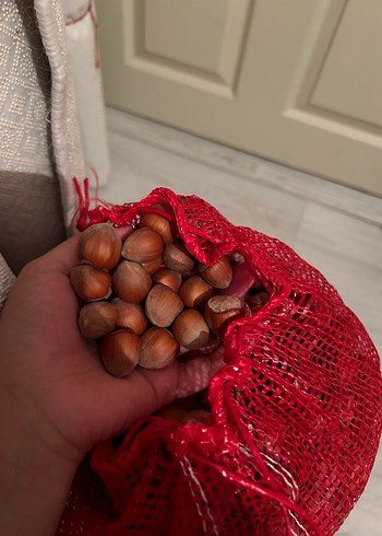 diğer Beden beyaz Renk Kabuklu fındık