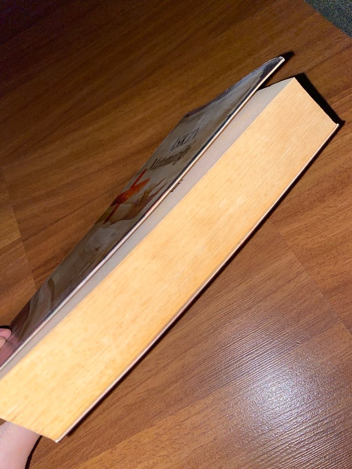 Aşkın Matematiği - Emma Darwin - Görsel 2