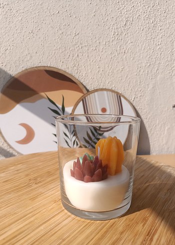 Beden beyaz Renk Kaktüs ve Çiçek Şeklinde doğal soya Mumlu Bardak