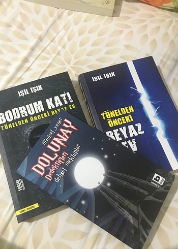 Tünelden Önceki Beyaz Ev Ve Bodrum Katı- Işıl Işık - Görsel 3