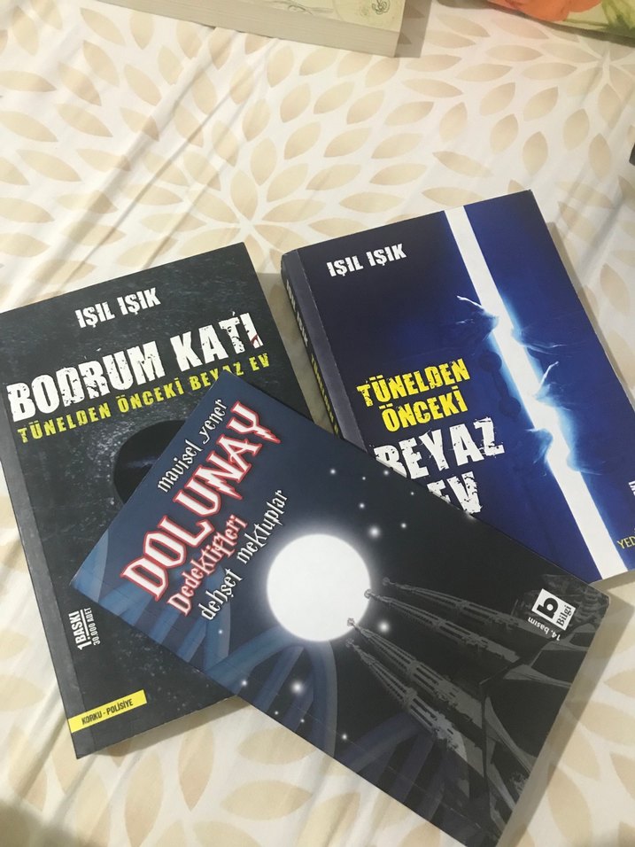 Tünelden Önceki Beyaz Ev Ve Bodrum Katı- Işıl Işık - Görsel 3