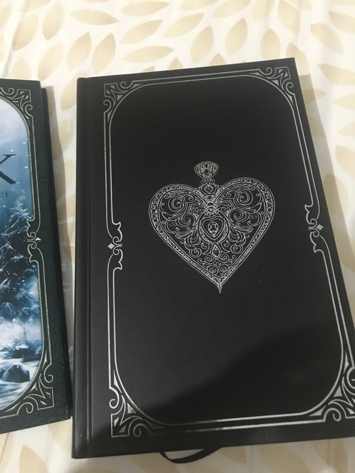 Gümüş Yürek - Kayıp Dünyanın Başlangıcı - D.N. ARCHERON - Görsel 4