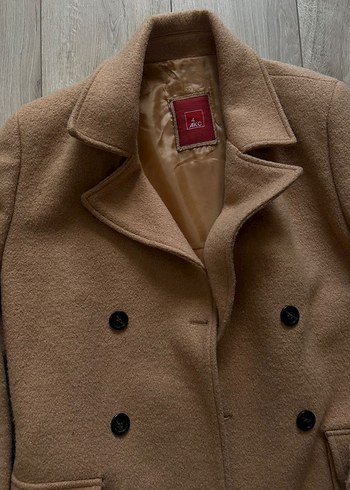 4akc kasmir kaban - Görsel 3