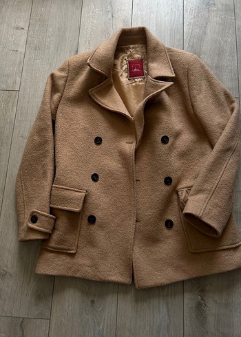 4akc kasmir kaban - Görsel 2