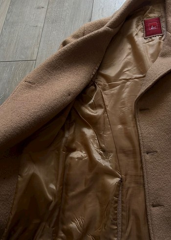 4akc kasmir kaban - Görsel 4