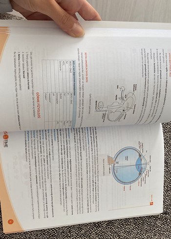 Beden Komi time tustime Fizyoloji Dergisi 2. Baskı