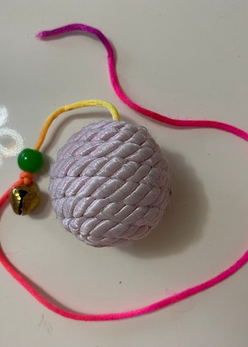Beden Renk Renkli Kedi Oyuncakları Seti