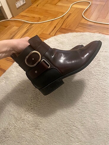 Zara bordo bot