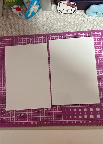Zara Lalisa sev foto card
