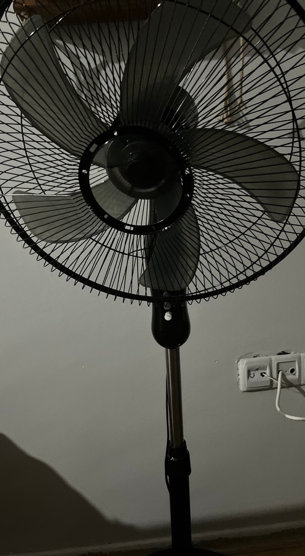 Siyah Ayaklı Vantilatör - Görsel 2