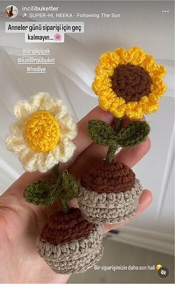 Hediyelik mini saksı çiçekler