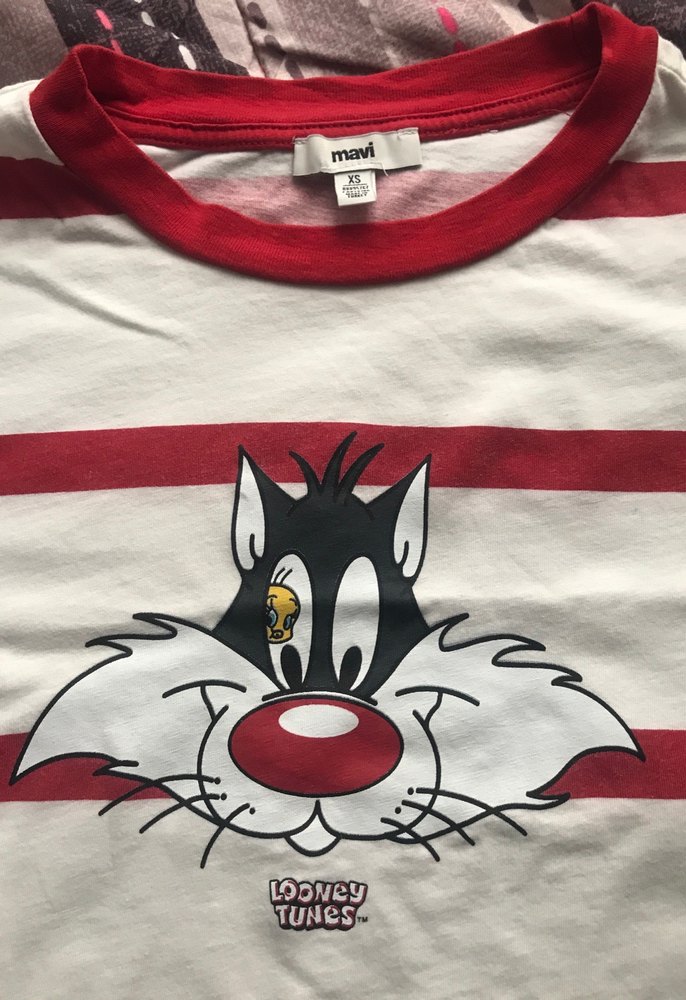 Kadın Beyaz Çizgili Baskılı Kısa Kollu Tişört - Görsel 4