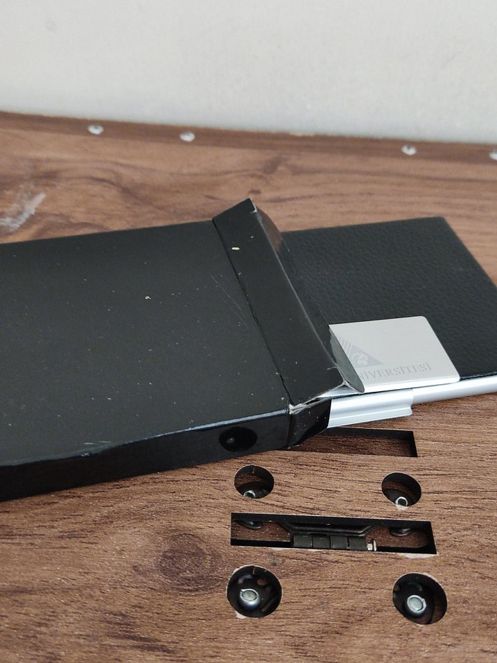 Siyah Kartlık - Görsel 3