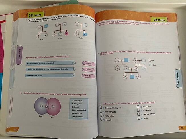 10. SINIF KİMYA BİYOLOJİ ordinat yayınları - Görsel 2