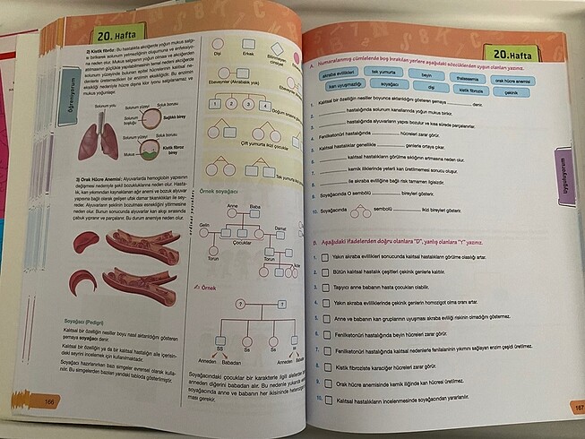 10. SINIF KİMYA BİYOLOJİ ordinat yayınları - Görsel 3