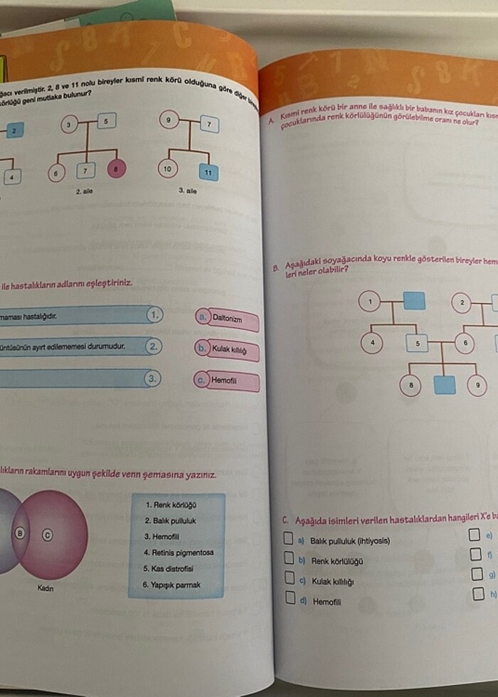 10. SINIF KİMYA BİYOLOJİ ordinat yayınları - Görsel 2